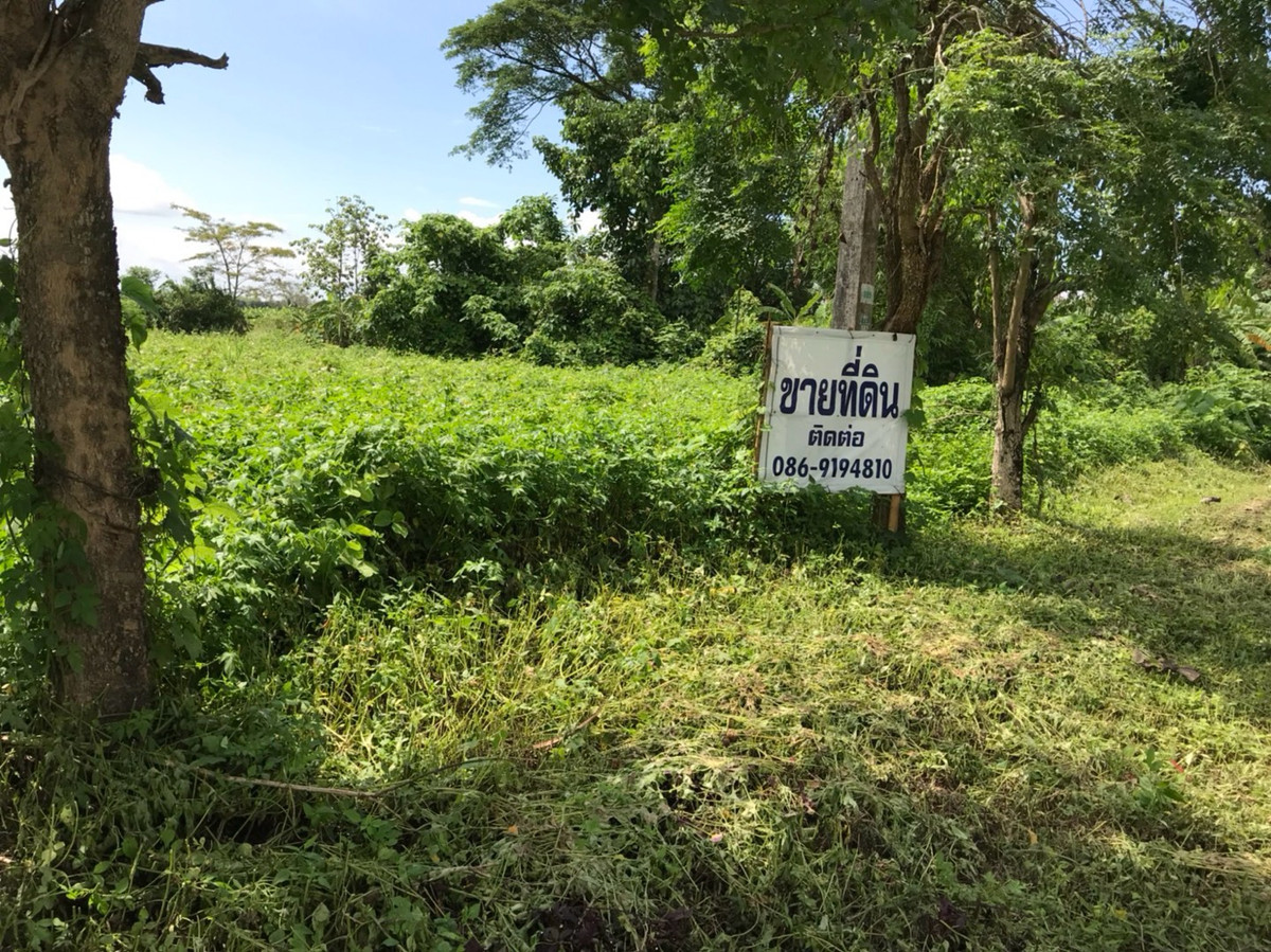 ขายที่ดินเชียงราย : ที่ดินเปล่าติดถนนพหลโยธินแม่สายเชียงราย