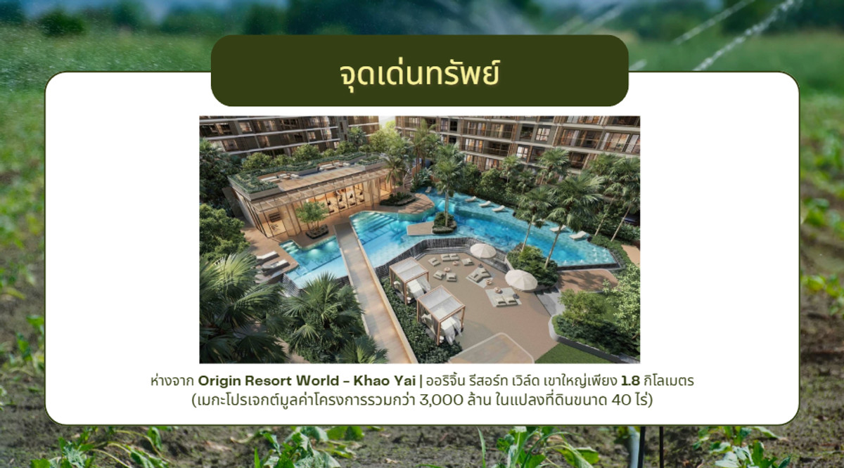 For SaleLandPak Chong KhaoYai : Land for sale in Pak Chong, Thanarat Road, front next to the road, width 258 meters.