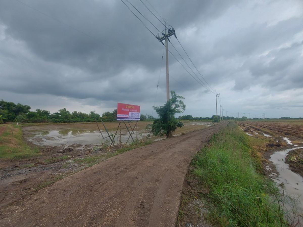 ขายที่ดินฉะเชิงเทรา : ที่ดินเปล่า จ.ฉะเชิงเทรา