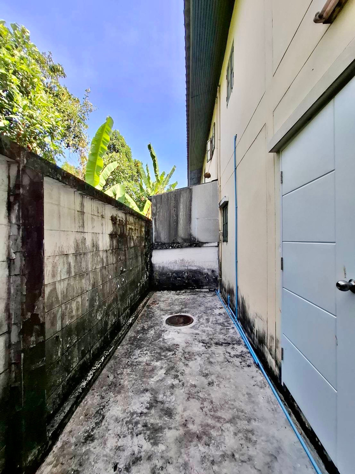 For SaleHouseBang Sue, Wong Sawang, Tao Pun : Suanthipko Village / 3 Bedrooms (For Sale), Suanthipko Village / 3 Bedrooms (FOR SALE) BNS028