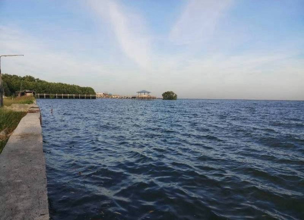 ขายที่ดินพัทยา บางแสน ชลบุรี สัตหีบ : ขายที่ดินอ่างศิลาติดทะเล 16 ไร่เศษ ราคาพิเศษ