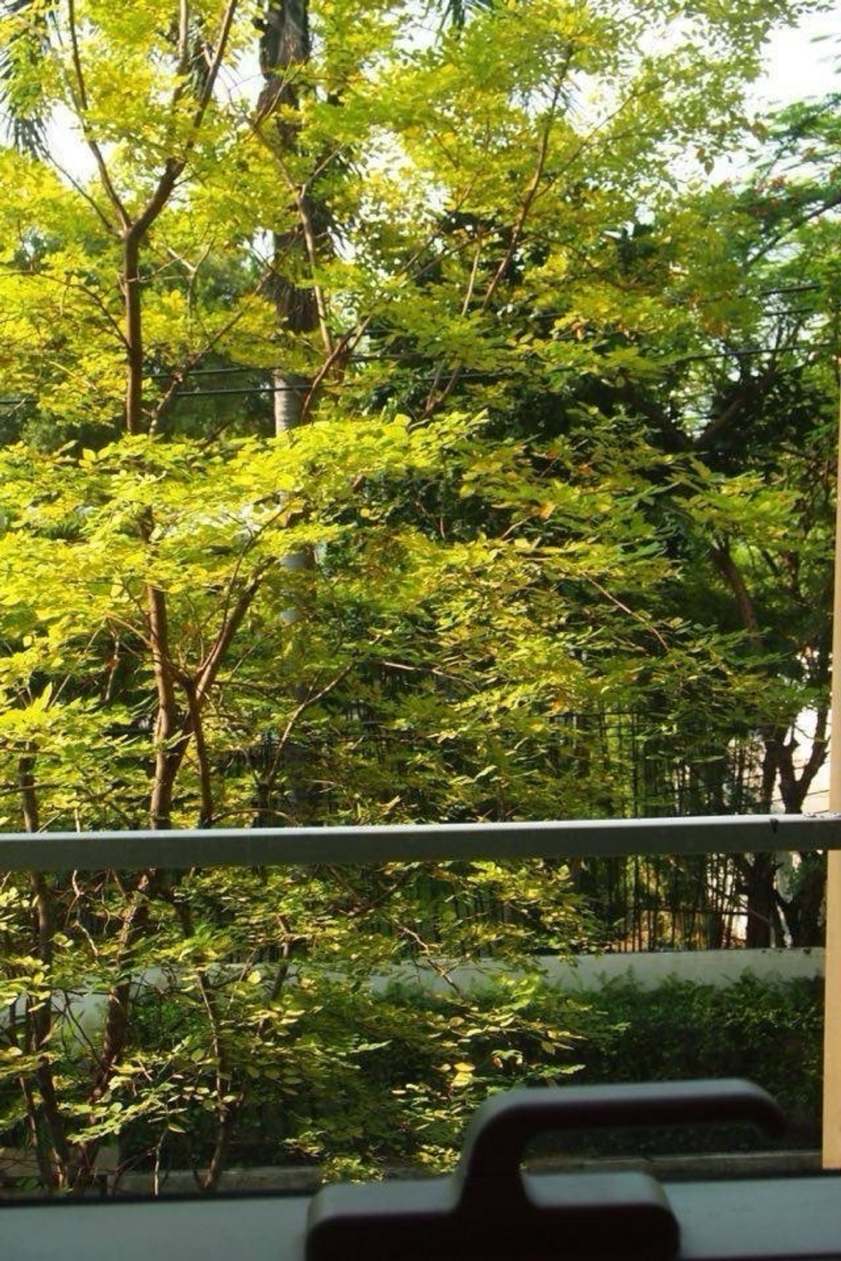 คอนโดสุขุมวิท อโศก ทองหล่อ : 🔥Rent & Sale at Via 31 🔥1BR 1BR.🔥 29,000🔥6.9M 🔥47sqm. Floor3