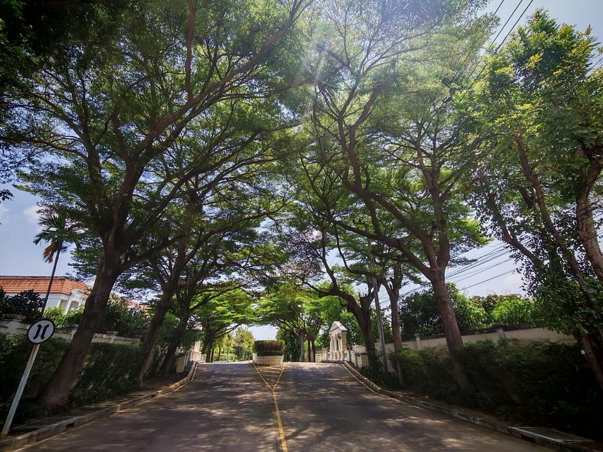 ให้เช่าบ้านท่าพระ ตลาดพลู วุฒากาศ : 🏡 ปล่อยเช่า Townhouse รีโนเวทใหม่ ใจกลางสาทร | ใกล้ BTS เพียง 4 นาที ✨