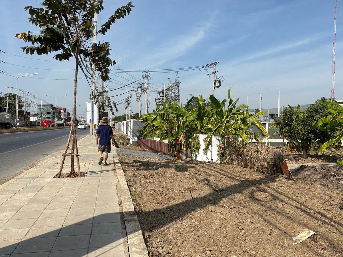 ขายที่ดินปทุมธานี รังสิต ธรรมศาสตร์ : ขายที่ดินติดถนนใหญ่ 4 เลน ถ.ลำลูกกา คลอง 7 -ธัญบุรี (ปท 3004)