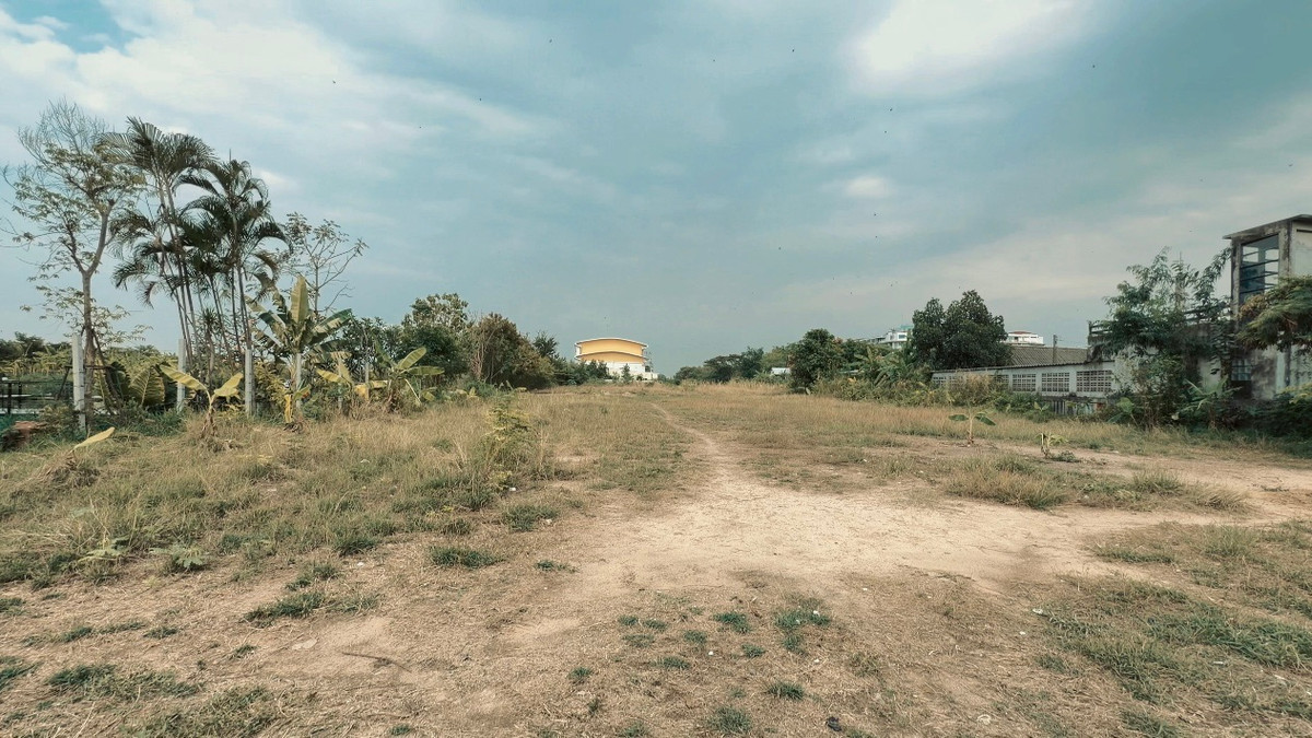 ขายที่ดินโคราช นครราชสีมา : ขายที่ดินติดสะพานหัวเล แปลงใหญ่ ติดถนนราชสีมา-โชคชัย เหมาะสำหรับนักลงทุน✨