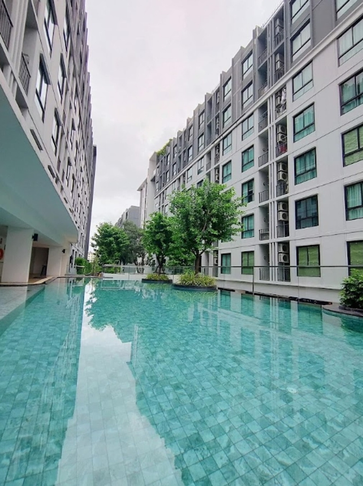 ให้เช่าคอนโดบางนา แบริ่ง ลาซาล : 💥CP-6185💥ว่าง ให้ เช่า น็อตติ้ง ฮิลล์ สุขุมวิท 105👉แอดไลน์ @seecondo 