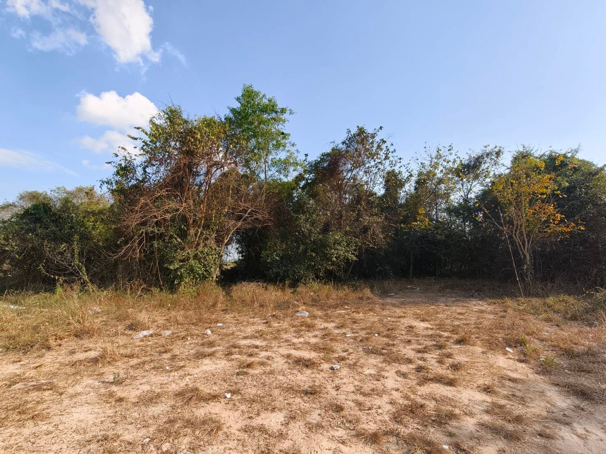 ขายที่ดินพัทยา บางแสน ชลบุรี สัตหีบ : ขายที่ดิน ซอย เทพมิมิตร ต.หนองปลาไหล บางระมุง ชลบุรี  โทร 095-089-2688  