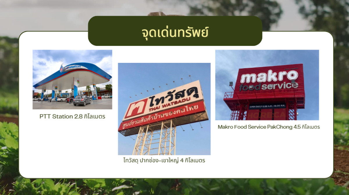 For SaleLandPak Chong KhaoYai : Land for sale in Pak Chong, Thanarat Road, front next to the road, width 258 meters.