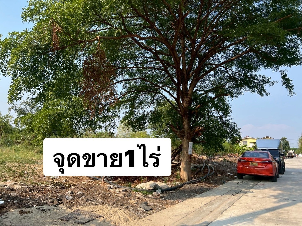 ขายที่ดินนวมินทร์ รามอินทรา : ขายที่ดินถนนสุขาภิบาล5  ถนนเทพรักษ์ตัดใหม่ หลังร้านสุกี้ตี๋น้อย ทำเลสวย 0863377287