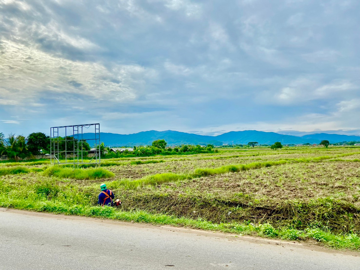 ขายที่ดินเชียงราย : ขายที่ดิน ทำเลทอง บ้านดู่ อ.เมือง จ.เชียงราย 17 ไร่ ๆ ละ 4 ล้าน ใกล้สนามบิน ม.ราชภัฏ สร้างหอพัก หมู่บ้านได้ ทำเลที่พักอาศัย