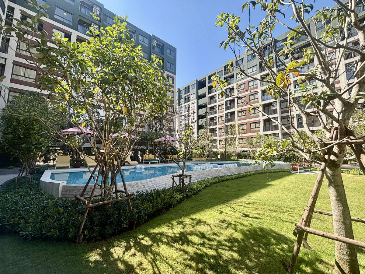 ให้เช่าคอนโดขอนแก่น : ให้เช่าดีคอนโด วิวสวน ขนาด 30 ห้องใหญ่