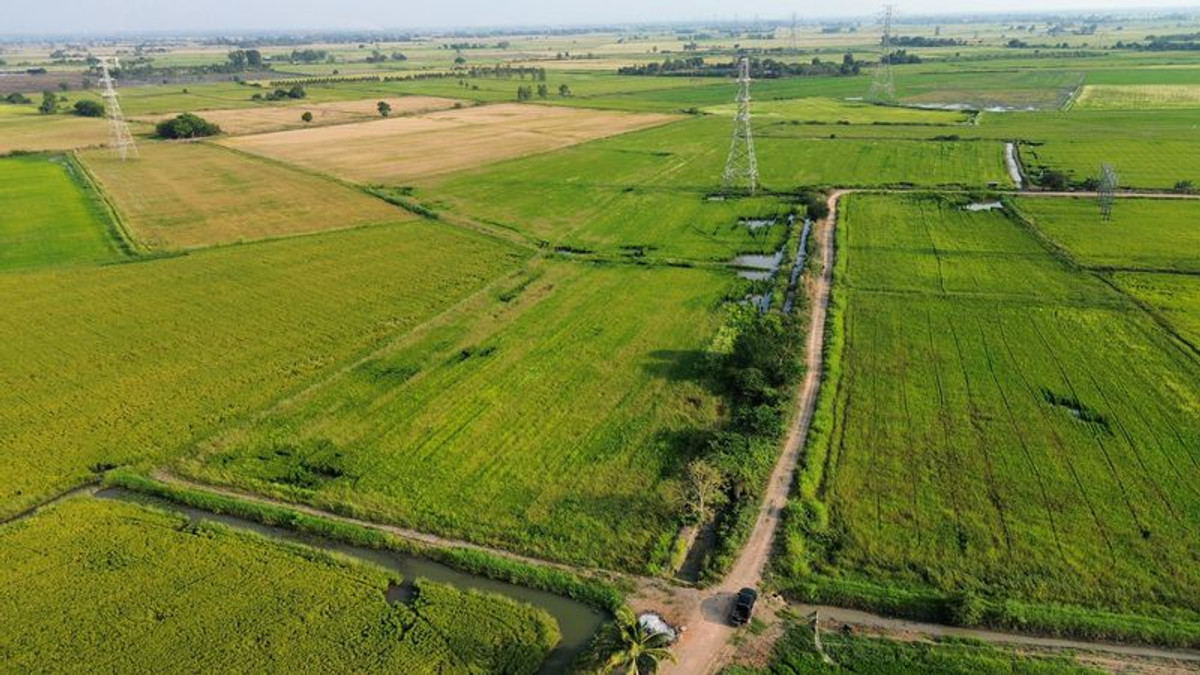 For SaleLandLop Buri : Rice field 8-2-29 rai, near Ban Klap Railway Station, Don Pho Subdistrict, Mueang District, Lopburi Province.