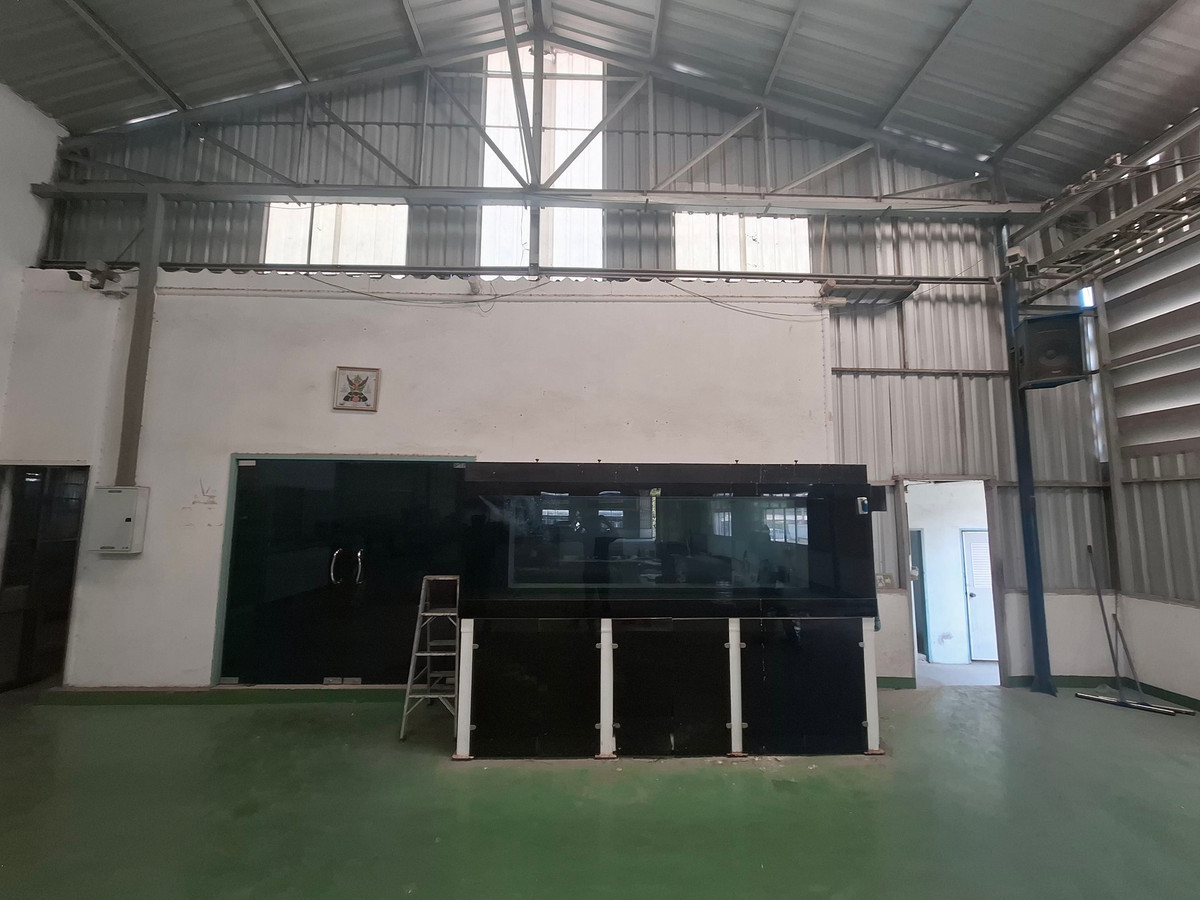 ขายโกดังพัทยา บางแสน ชลบุรี สัตหีบ : อาคารโกดัง พร้อมสิ่งปลูกสร้าง ซอย ชากยายจีน ถนน ทุ่งศุขลา ตำบล ทุ่งสขลา อำเภอศรีราชา ชลบุรี ⚡ราคาถูก! 25,000,000 บาท⚡