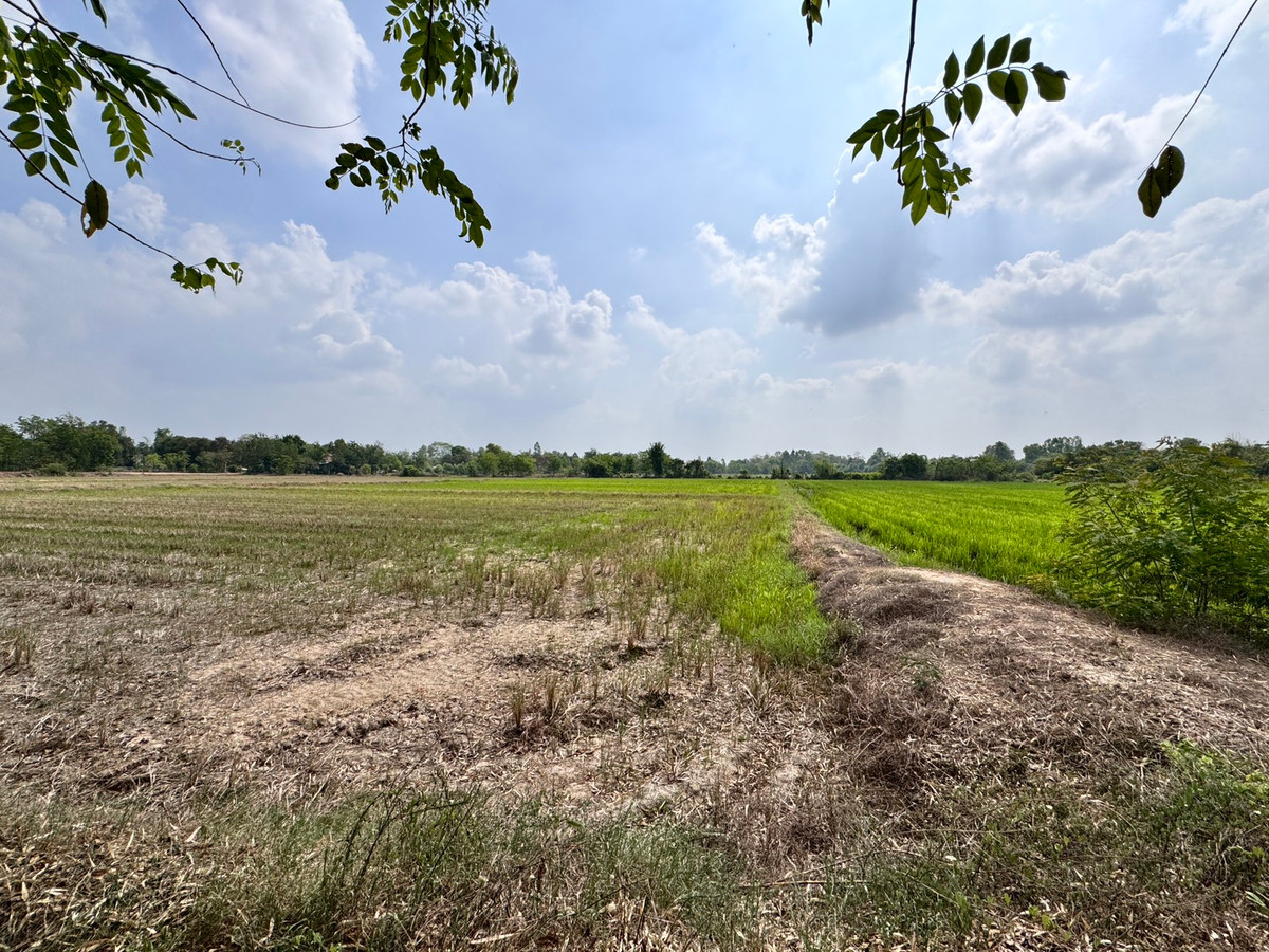 For SaleLandUthai Thani : [Land for sale very cheap] It is a rice field on an area of ​​23 rai 2 ngan, inexpensive price in the land of Nong Chang District, Uthai Thani.