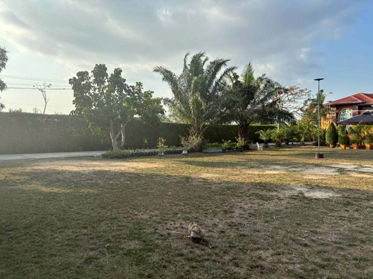 ขายบ้านพัทยา บางแสน ชลบุรี สัตหีบ : ขายบ้านเดี่ยว 2 ไร่ 94.5 ตรว. ใกล้อ่างเก็บน้ำมาบประชัน 5 นอน 6 น้ำ มีบ้านพักรีสอร์ท 3 หลัง และห้องใต้ดินสุดหรู ใกล้สนามกอล์ฟและรร.นานาชาติ 