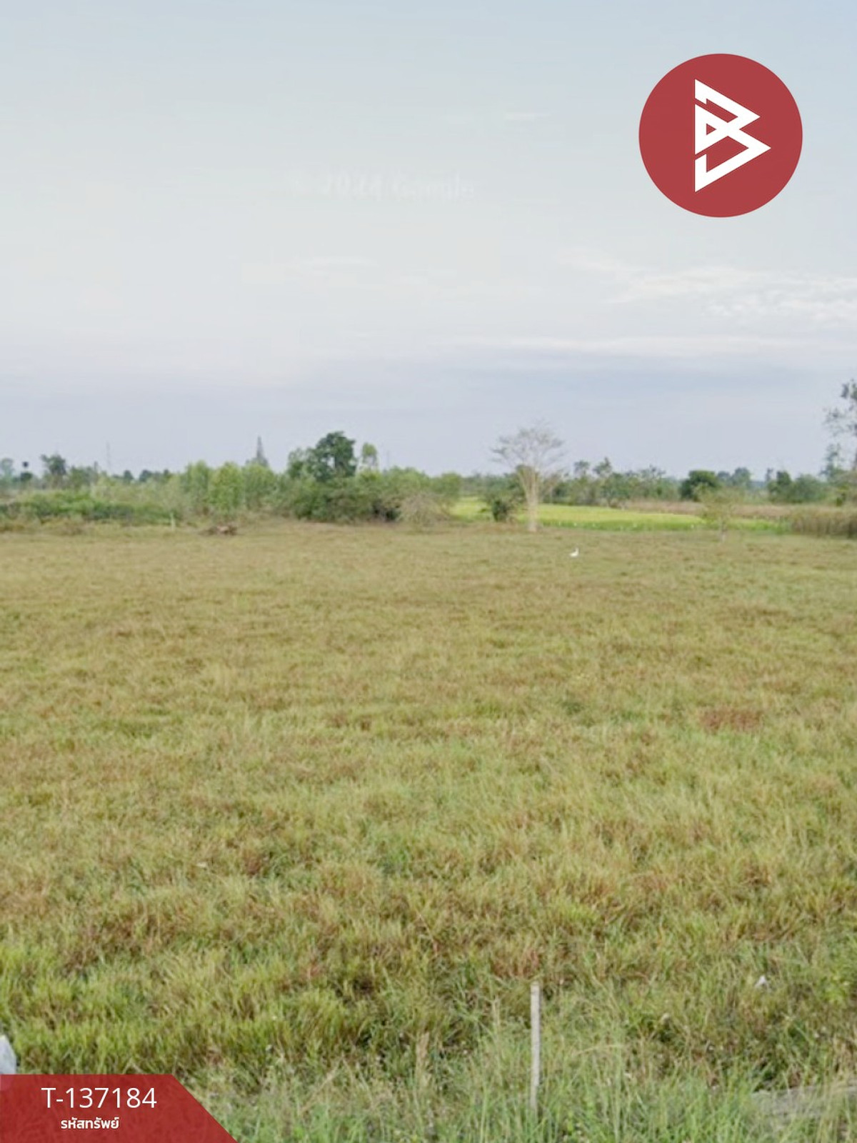 For SaleLandRatchaburi : Urgent sale of land, area 2 rai, Pak Tho, Ratchaburi.