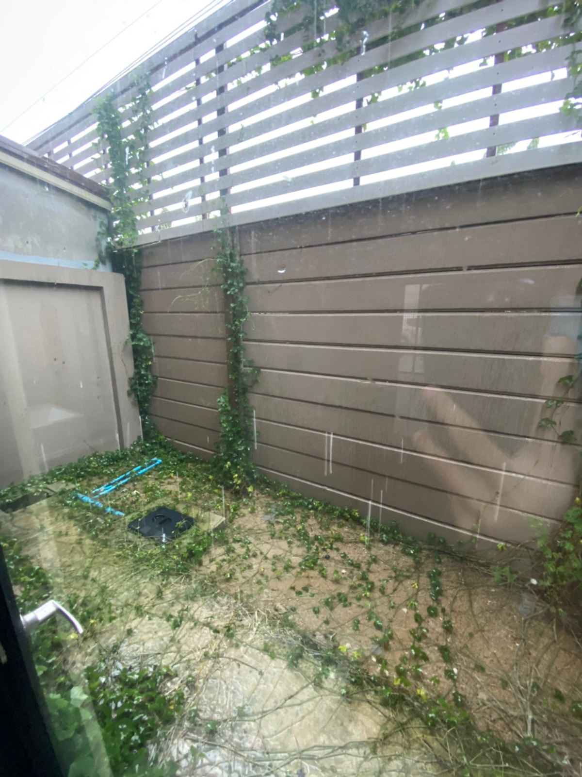 For RentTownhomeChaengwatana, Muangthong : A9230763 Townhome for rent, Niche Chaengwattana - Samakkhi, size 17 sq m.