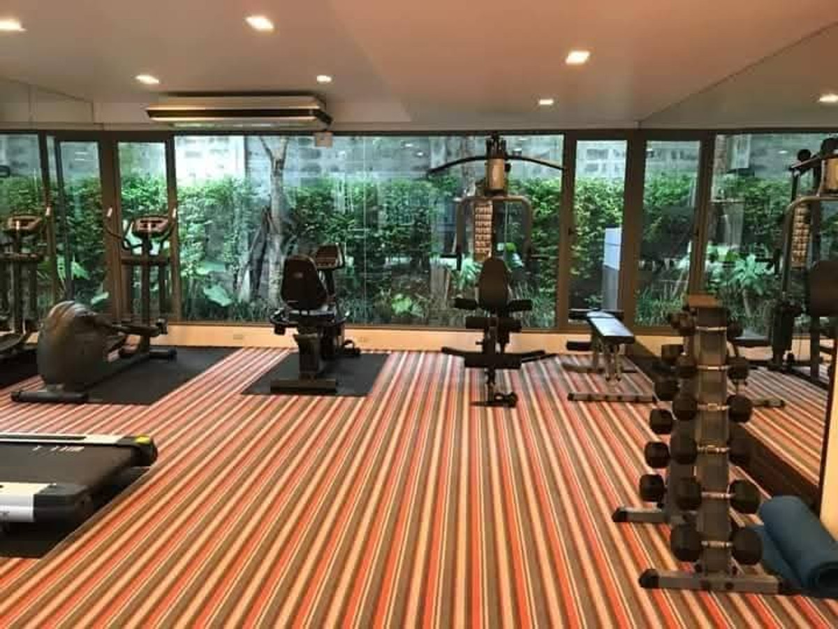 ให้เช่าคอนโดสุขุมวิท อโศก ทองหล่อ : ให้เช่าคอนโดเลี้ยงสัตว์ได้ Downtown Sukhumvit 49 BTS Thonglor Pet Firendly พร้อมอยู่