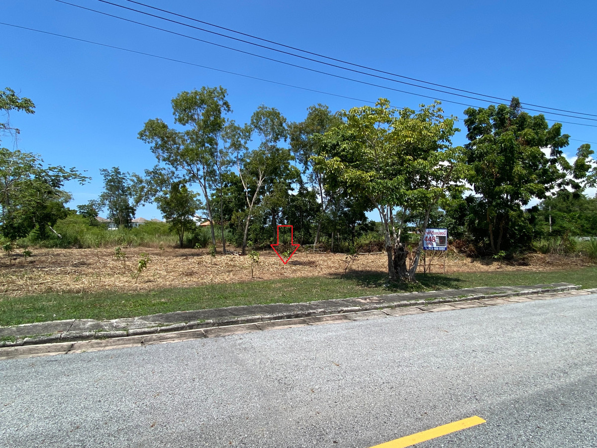 ขายที่ดินศรีราชา แหลมฉบัง บ้านบึง : ขายที่ดินหมู่บ้านปัญญารีสอร์ท บางพระ อ.ศรีราชา จ.ชลบุรี เนื้อที่ 1 ไร่ 48 ตารางวา 