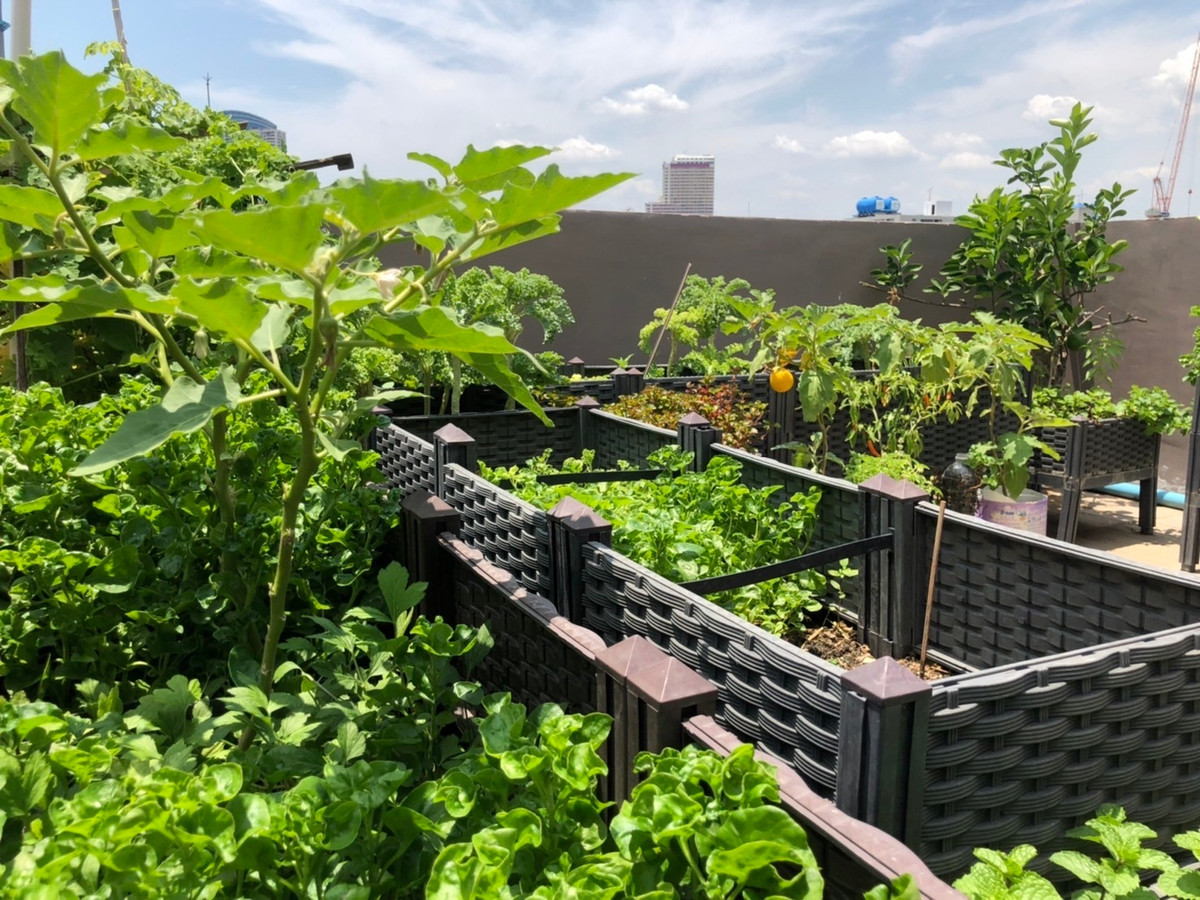 Shop HouseWongwianyai, Charoennakor : Shophouse for sale, Charoen Nakhon 18, commercial building, 1 unit, 4 floors + roof deck, steel frame, 300 sq m., 15 sq m, Khlong San, BTS Krung Thon Buri, iconsiam, Sena Fest, Renovated already.