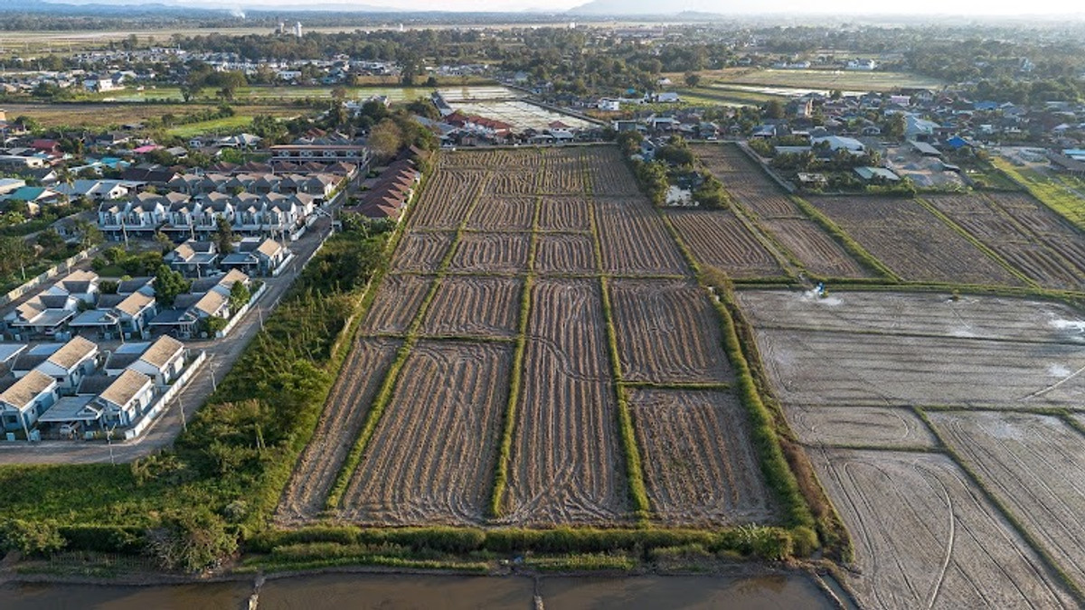 ขายที่ดินเชียงราย : ขายที่ดิน ทำเลทอง บ้านดู่ อ.เมือง จ.เชียงราย 17 ไร่ ๆ ละ 4 ล้าน ใกล้สนามบิน ม.ราชภัฏ สร้างหอพัก หมู่บ้านได้ ทำเลที่พักอาศัย