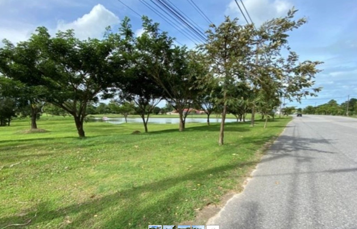 ขายที่ดินภูเก็ต : ที่ดินเปล่าแปลงใหญ่ จ.ภูเก็ต มีหลายแปลงหลายทำเล