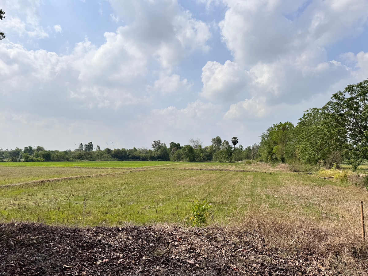 For SaleLandUthai Thani : [Land for sale very cheap] It is a rice field on an area of ​​23 rai 2 ngan, inexpensive price in the land of Nong Chang District, Uthai Thani.