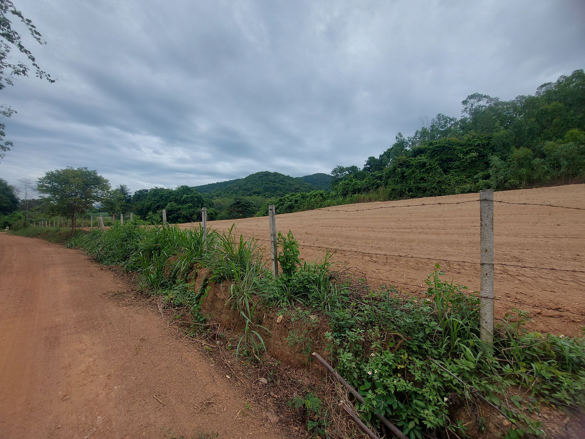 ขายที่ดินพัทยา บางแสน ชลบุรี สัตหีบ : ที่ดินแปลงใหญ่ อ.สัตหีบ จ.ชลบุรี