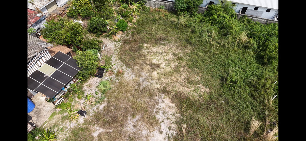 ขายที่ดินพัทยา บางแสน ชลบุรี สัตหีบ : ที่ดินสัตหีบ ซอย19 ห่างจากถนนสุขุมวิทเพียง 15 เมตร ทำเลดี ห่างจากพัทยา 20 นาที 