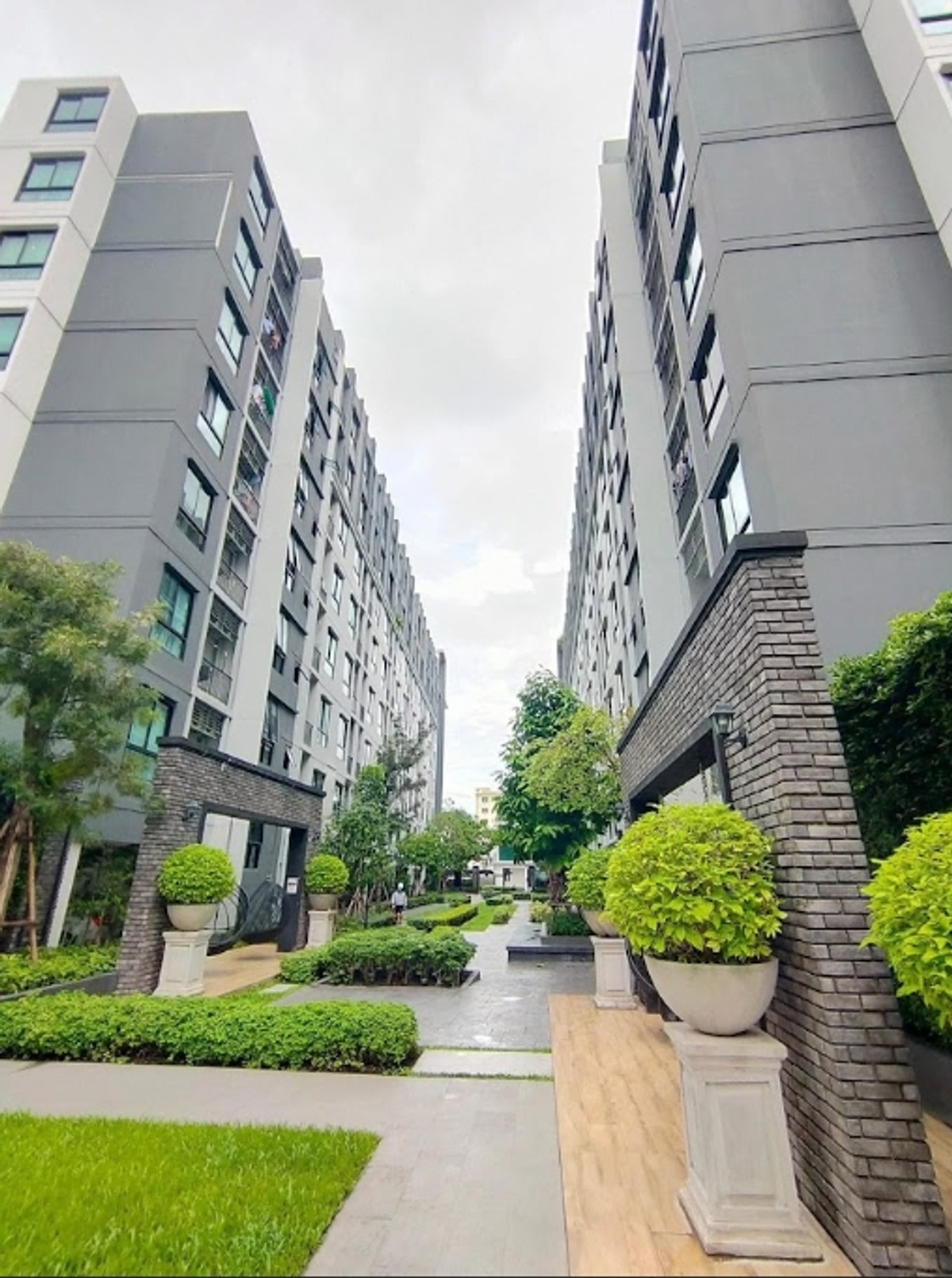 ให้เช่าคอนโดบางนา แบริ่ง ลาซาล : 💥CP-6185💥ว่าง ให้ เช่า น็อตติ้ง ฮิลล์ สุขุมวิท 105👉แอดไลน์ @seecondo 