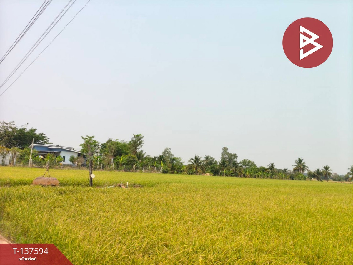 For SaleLandPhitsanulok : Land for sale, area 3 rai 1 ngan 65.8 square wah, Ban Krang Subdistrict, Phitsanulok.