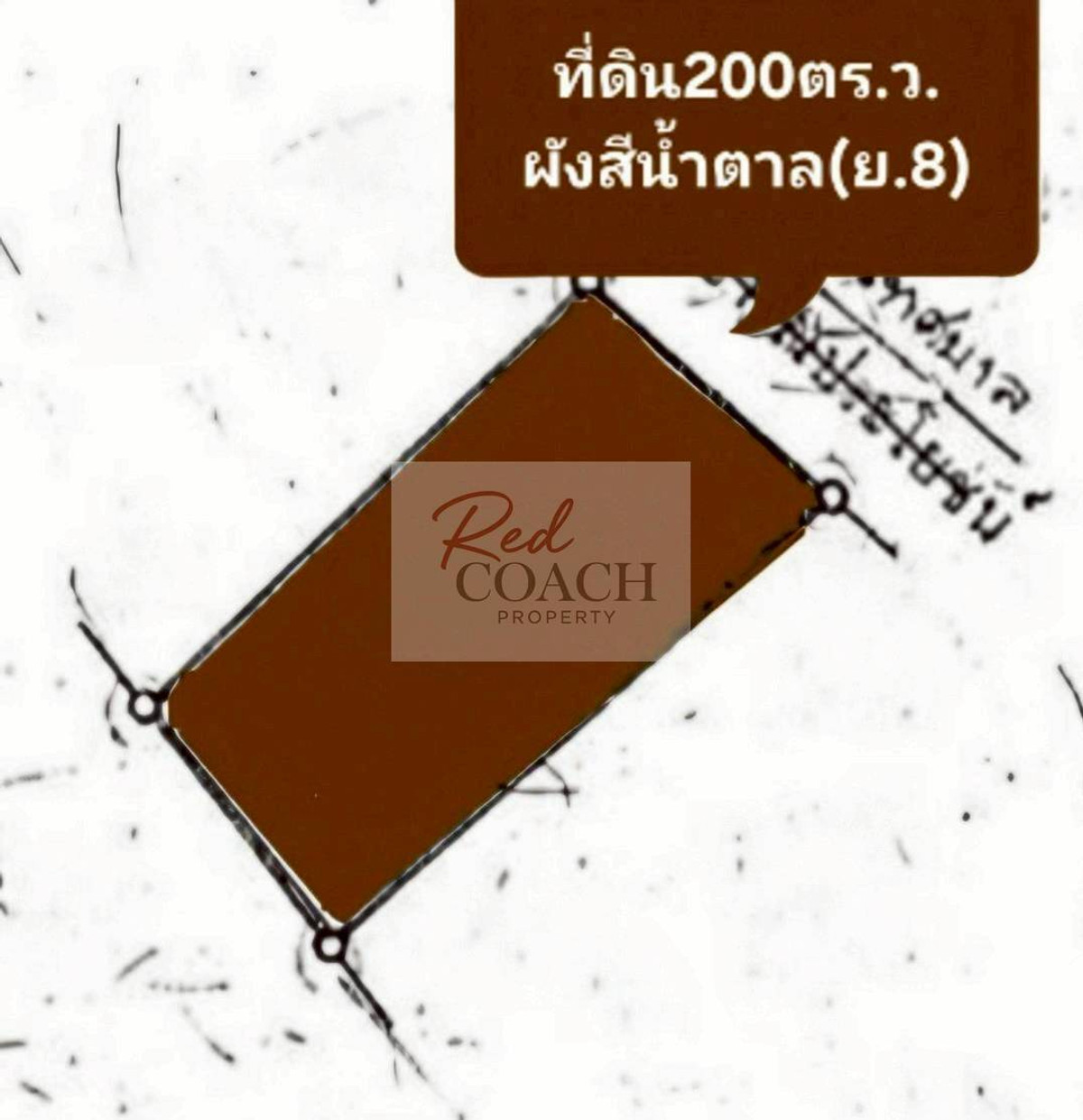 ขายที่ดินนนทบุรี บางใหญ่ บางบัวทอง : 📢 ขายที่ดินทำเลทอง 