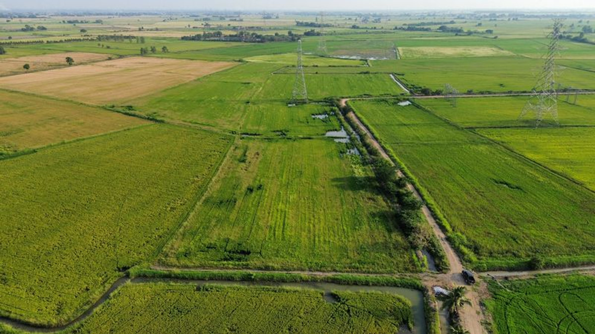 For SaleLandLop Buri : Rice field 8-2-29 rai, near Ban Klap Railway Station, Don Pho Subdistrict, Mueang District, Lopburi Province.