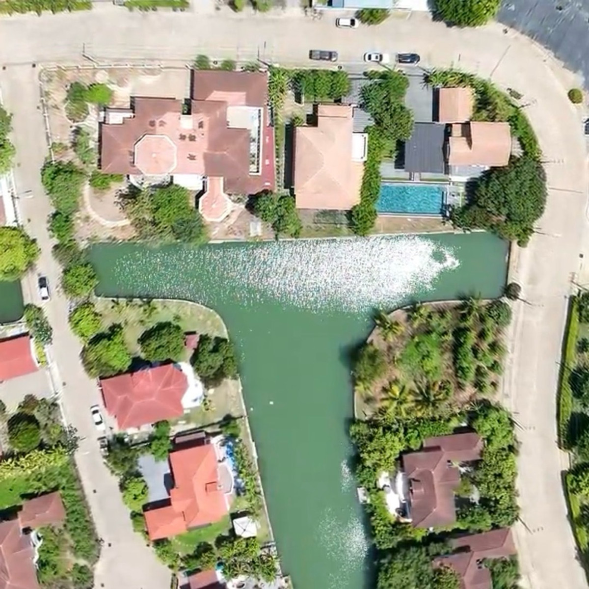 ขายบ้านพุทธมณฑล ศาลายา : 🏡 ขาย บ้านเดี่ยว 2 หลัง บนที่ดิน 365 ตร.ว. ติดทะเลสาบ วิวเชื่อมแม่น้ำท่าจีน | กฤษดา มานีน่า 27 ศาลายา พร้อมสระว่ายน้ำส่วนตัว