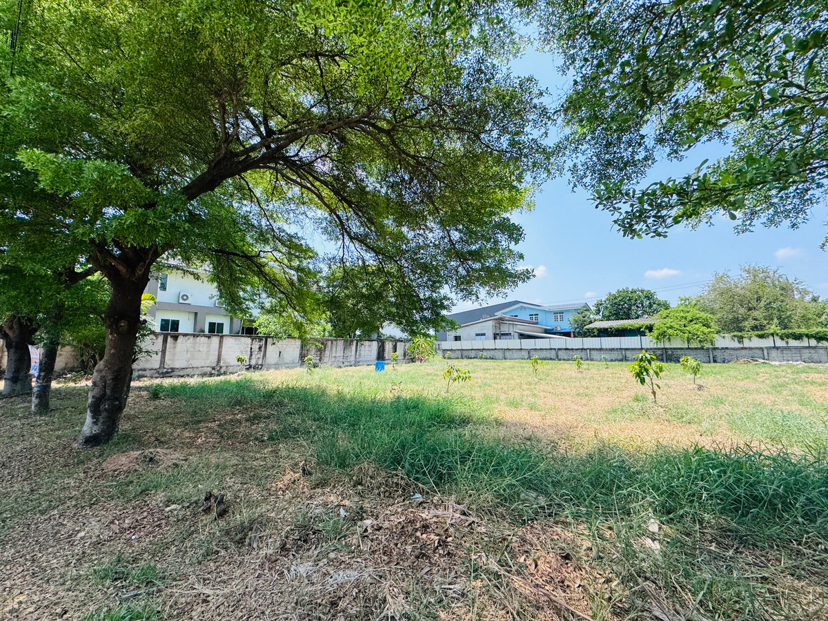 ขายที่ดินบางนา แบริ่ง ลาซาล : ราคาดีที่สุด ที่ดินแปลงสวย ในโครงการ วินด์มิลล์ พาร์ค (Windmill Park) บางนา