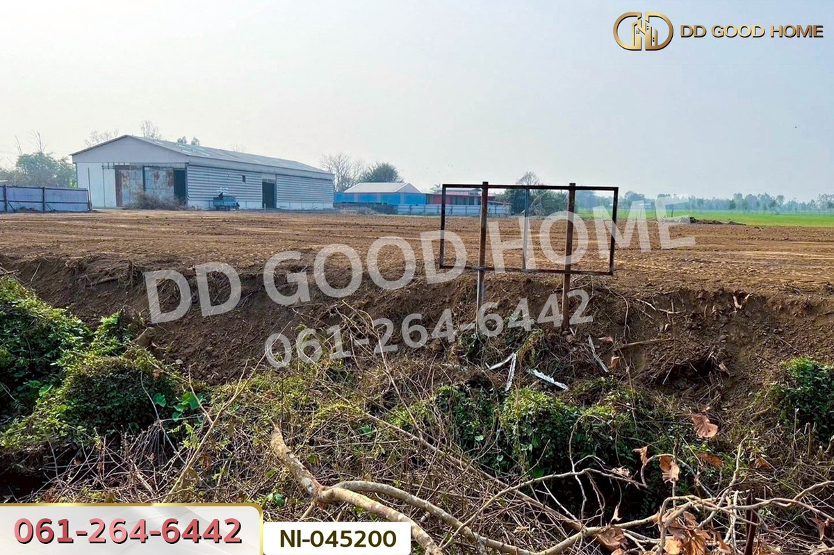 LandKamphaeng Phet : Land for sale in Wang Bua, 27 rai 19 sq.wah, Khlong Khlung, Kamphaeng Phet, near Wang Bua Subdistrict Administrative Organization. NI-045200