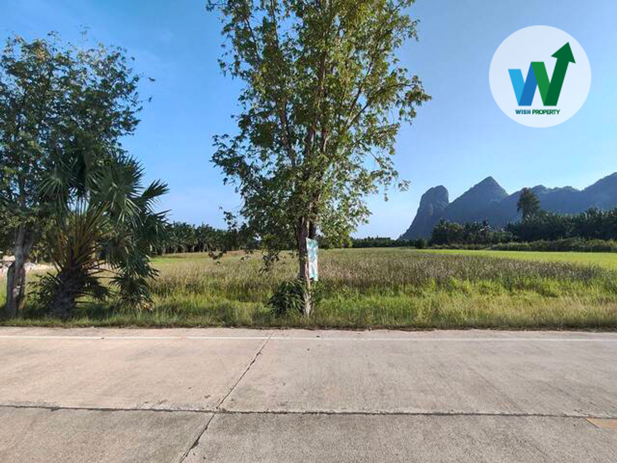 ขายที่ดินพัทลุง : ขายด่วนที่ดินริมภูเขาแดงในพัทลุง