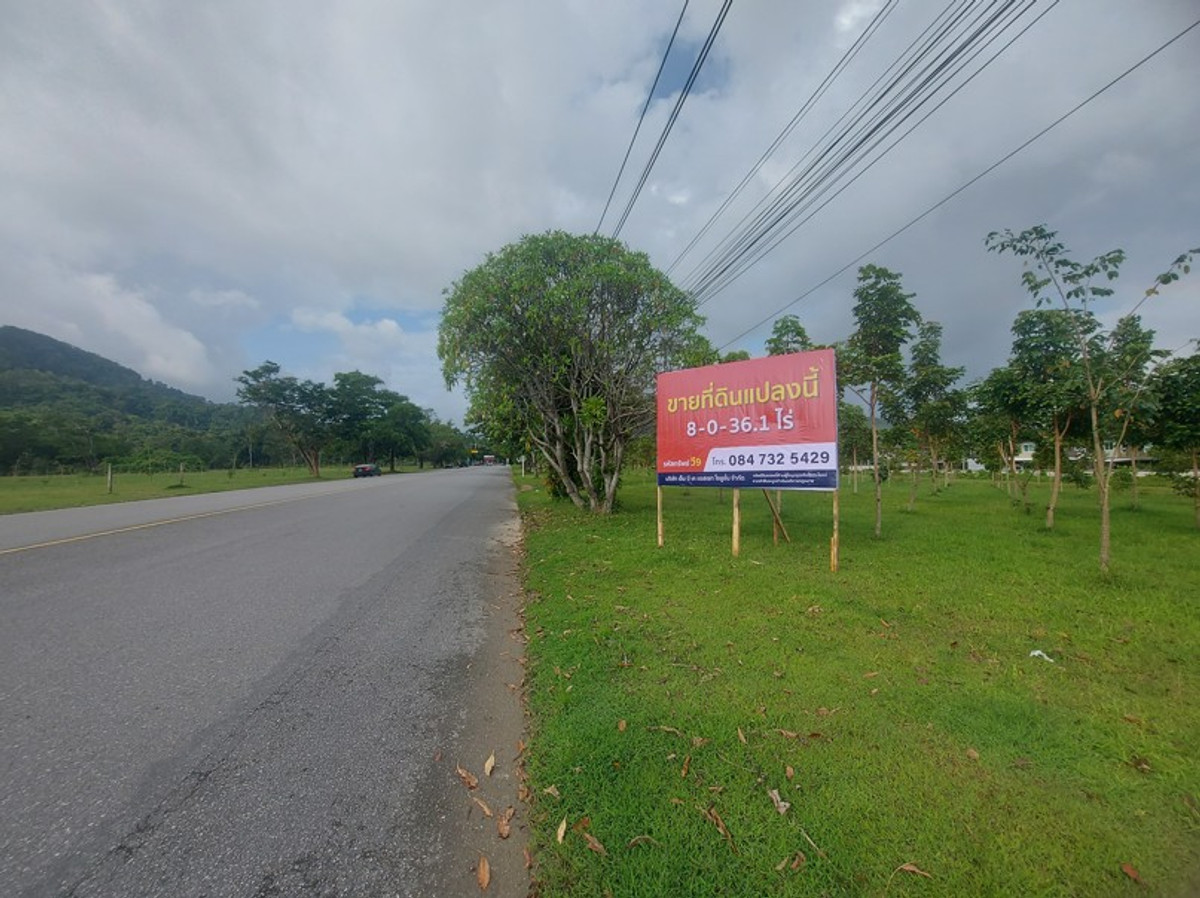 ขายที่ดินภูเก็ต : ที่ดินเปล่าแปลงใหญ่ จ.ภูเก็ต มีหลายแปลงหลายทำเล