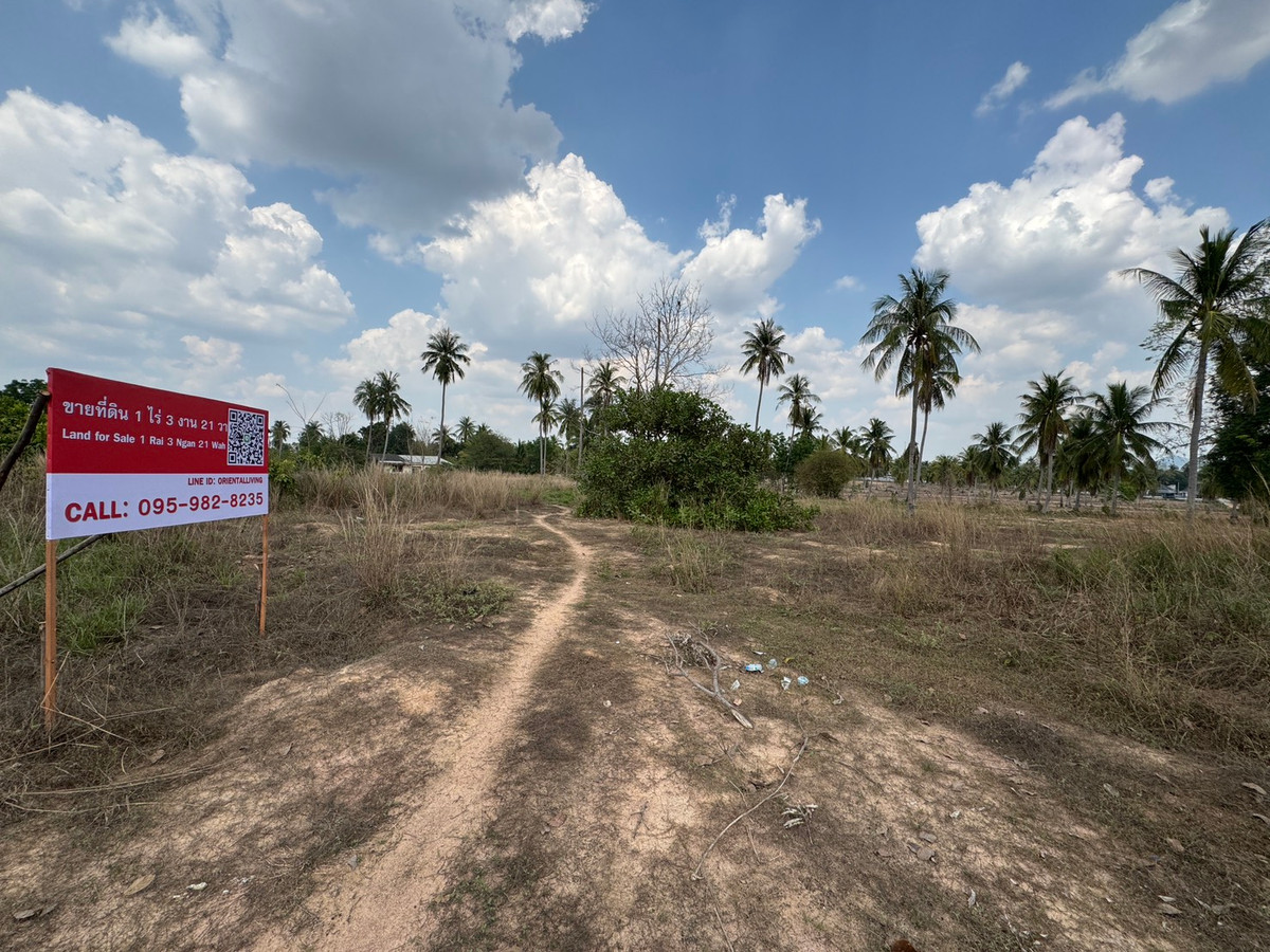 ขายที่ดินพัทยา บางแสน ชลบุรี สัตหีบ : ขาย!!! ที่ดิน 1 ไร่ 3 งาน 21 ตารางวา ซอยวัดเวฬุวนาราม (กอไผ่) ต.ตะเคียนเตี้ย อ.บางละมุง จ.ชลบุรี