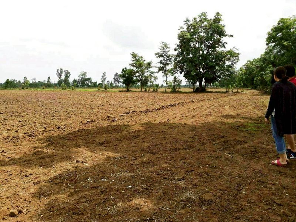 For SaleLandNakhon Sawan : Land for sale 64-0-48 rai, Huai Tan Nuea Subdistrict, Nong Bua District, Nakhon Sawan Province.