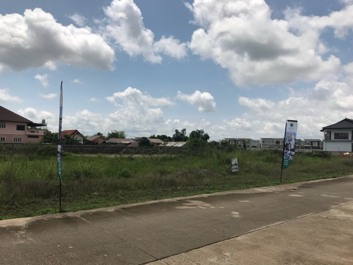 ขายที่ดินเชียงราย : ที่ดินเชียงรายนางแล