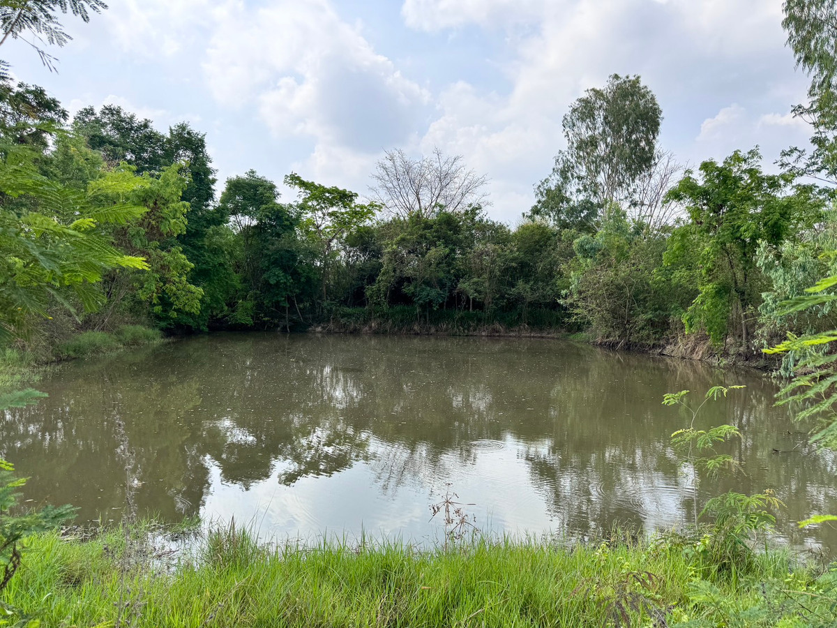 For SaleLandUthai Thani : [Land for sale very cheap] It is a rice field on an area of ​​23 rai 2 ngan, inexpensive price in the land of Nong Chang District, Uthai Thani.