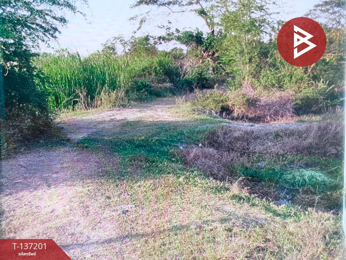 ขายที่ดินอยุธยา : ขายที่ดิน เนื้อที่ 1 ไร่ ลาดบัวหลวง พระนครศรีอยุธยา