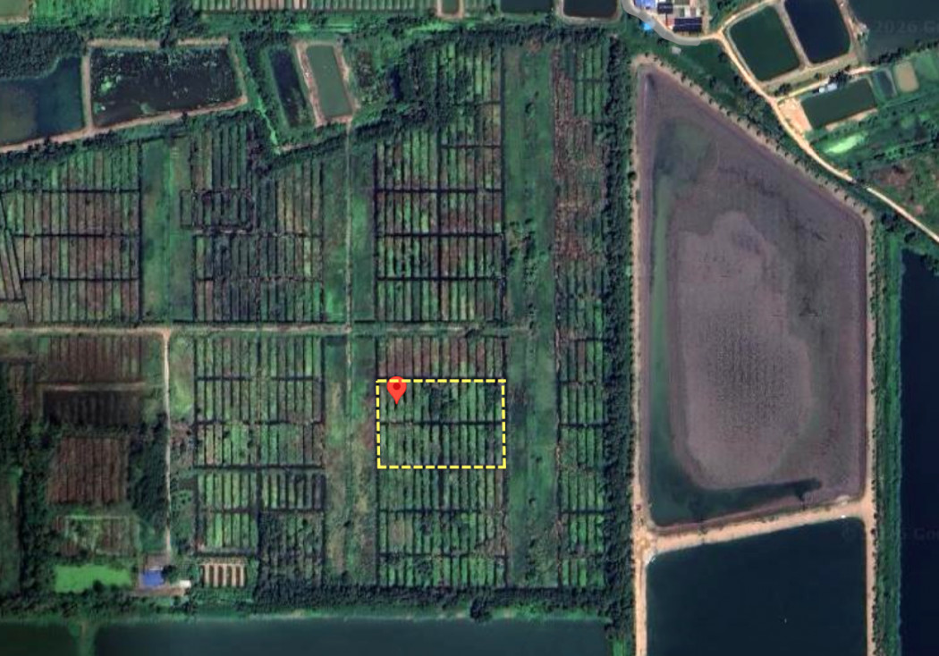 ขายที่ดินปทุมธานี รังสิต ธรรมศาสตร์ : ขายที่ดินเปล่าเนื้อที่รวม 4 ไร่ ใกล้โรงเรียนอยู่ประชานุเคราะห์ หนองเสือ ปทุมธานี ราคาถูกมาก