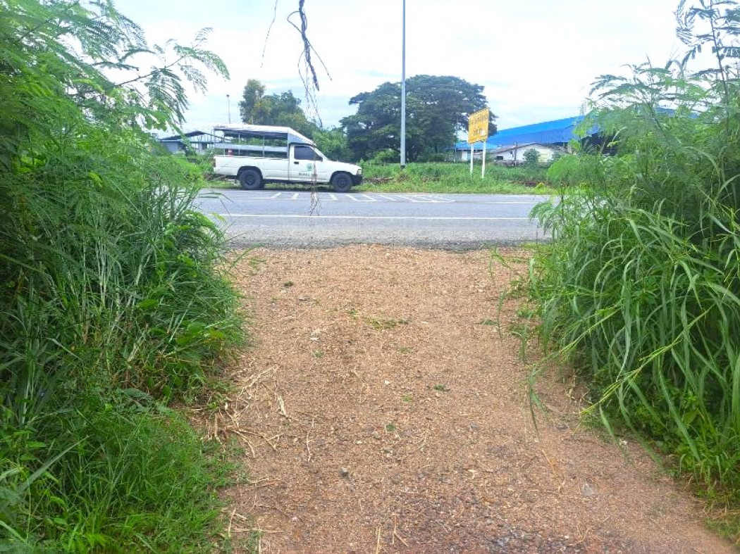 ขายที่ดินปทุมธานี รังสิต ธรรมศาสตร์ : ขายที่ดินเปล่าเนื้อที่รวม 4 ไร่ ใกล้โรงเรียนอยู่ประชานุเคราะห์ หนองเสือ ปทุมธานี ราคาถูกมาก