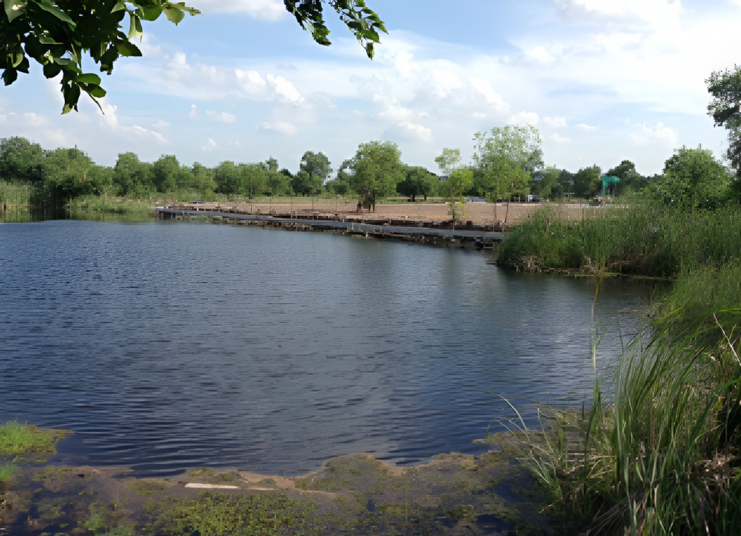 ขายที่ดินปทุมธานี รังสิต ธรรมศาสตร์ : ขายที่ดินคลองห้า 1 ไร่ 1 งาน 87 ตร.ว. ใกล้ปั๊ม PTT คลองห้า และโรงพยาบาลคลองหลวง