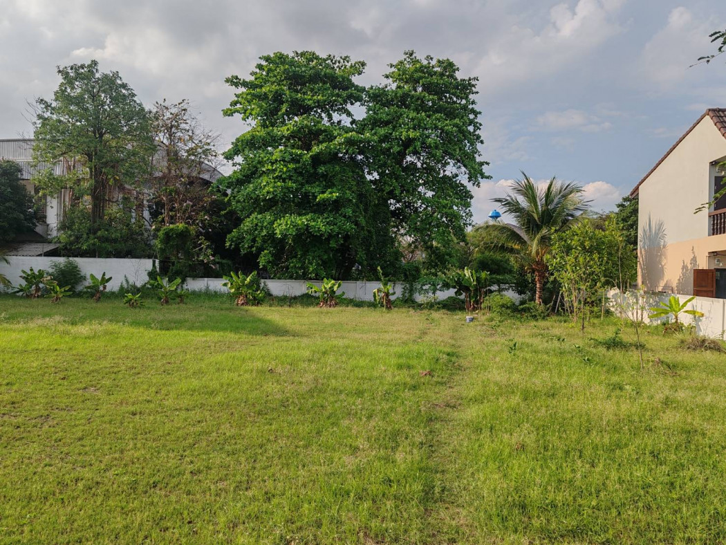 For SaleLandBang kae, Phetkasem : Land for sale, already filled and leveled, in Soi Intapach 13. Access is via a concrete road,Near Soi Phetkasem 63. Size: 1-0-41 rai.