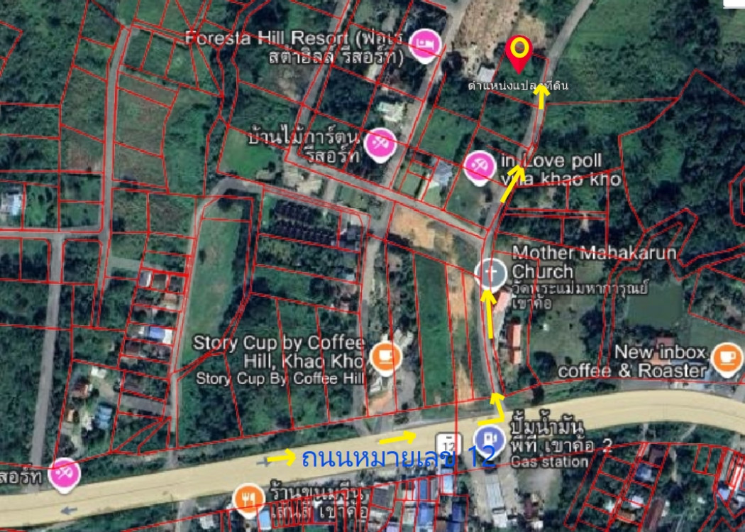 ขายที่ดินเพชรบูรณ์ : ขาย ที่ดินเปล่า โฉนดครุฑแดง เขาค้อ ต.แคมป์สน 1 ไร่ เข้าจากถนนหมายเลข 12 ซอยวัดป่าคาสามัคคี