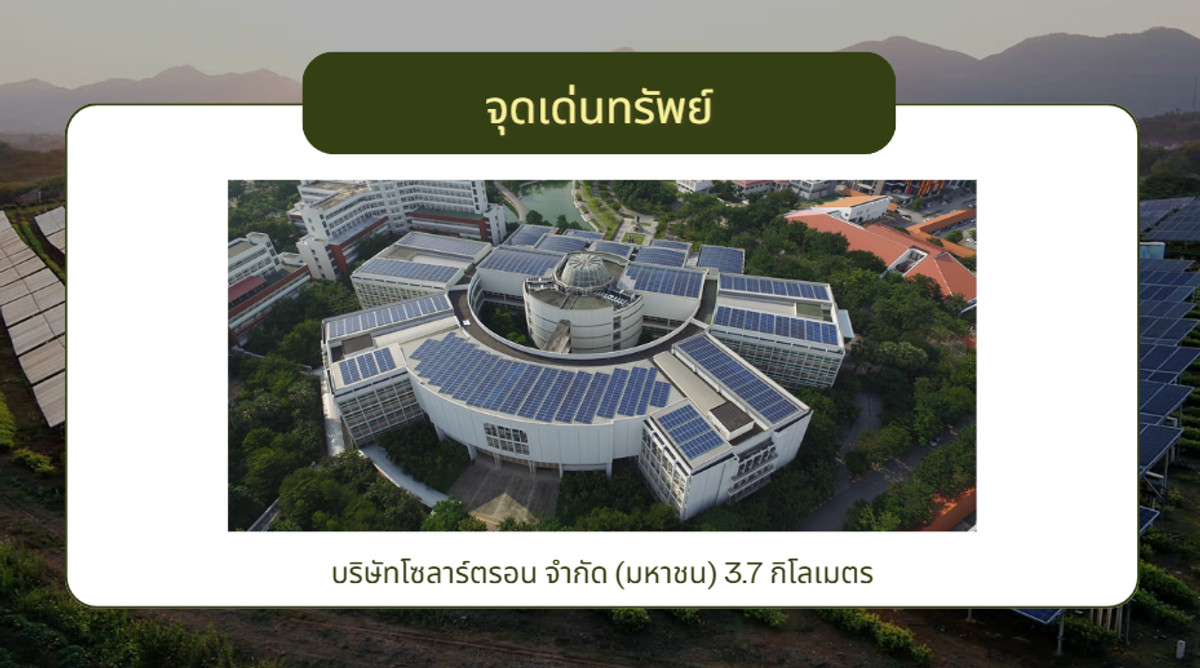 For SaleLandPak Chong KhaoYai : Land for sale in Pak Chong, Thanarat Road, front next to the road, width 258 meters.