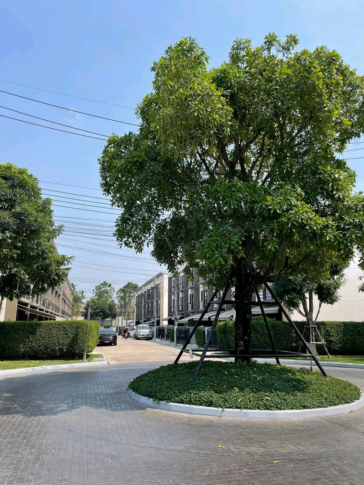 For RentTownhomeNawamin, Ramindra : 🔥 Beautiful house, model home feel, ready to move in, can raise cats, has a cat room to please the slave lovers 🐱